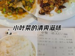 -眉州东坡(亚运村店)