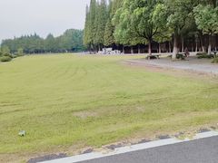 -宜兴龙背山森林公园