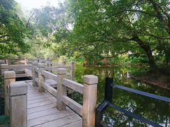 -人民公园(罗湖区)