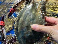 -十二海鲜(南湖店)