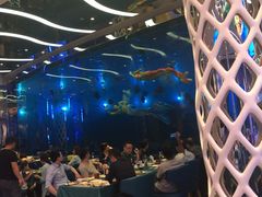 -瑞德姆美人鱼海底演艺主题餐厅(亚龙湾店)