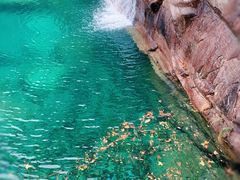 -黄山翡翠谷景区