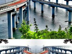 -星海湾跨海大桥