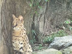 -杭州野生动物世界