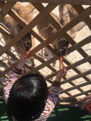 -萌宠亲子动物乐园(槐房万达店)