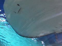 水下隧道-绍兴梦享海洋公园