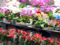 -双季花艺园艺市场(浦东店)