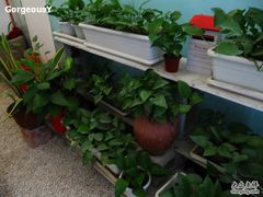 IMG_4779-Babycat私家御饼屋(龙头路二店)