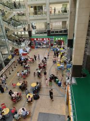 -首都医科大学附属北京儿童医院