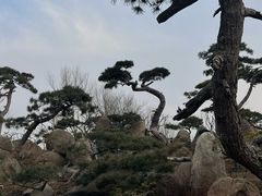 -罗红摄影艺术馆