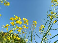 -贵阳市花溪国家城市湿地公园