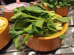 -喜家自助小火锅(乐客城店)