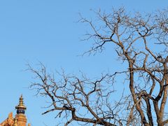 -METAL HANDS(五道营店)