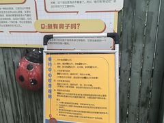 -菊园百果园
