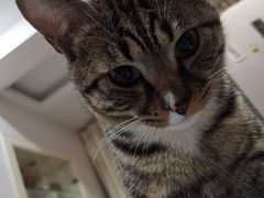 -庄老幺火锅(娄山关路店)