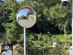 -长沙黑麋峰国家森林公园