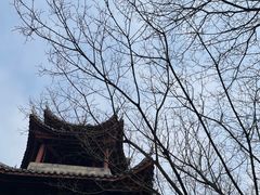 -丰都鬼城名山景区