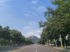 -白佛山景区