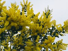 -火炉山森林公园
