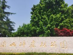 -铁山坪森林公园