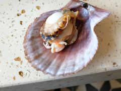 -港畔赶海蒸汽海鲜烧烤自助(仙螺岛店)