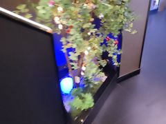 -水秀坊·足道 SPA (巨鹿店)