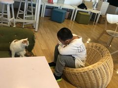-Cappucimeow猫咪咖啡馆(韦伯时代店)