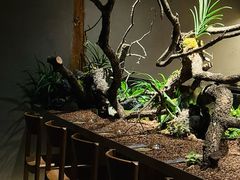 -曲廊院(东四十一条店)