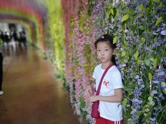 -济南方特东方神画