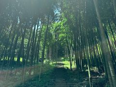 -莫干山风景区