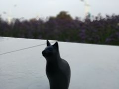 -猫的天空之城概念书店(北戴河蔚蓝海岸店)