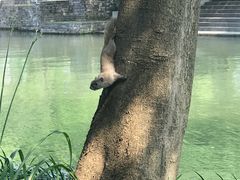 -星巴克(西湖天地店)