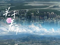 -平安金融中心云际观光层