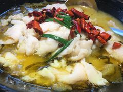 -金牌外婆家(苏州中心店)