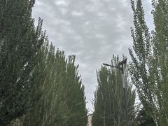 -拜城克孜尔千佛洞-售票处