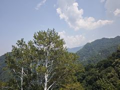 -少华山国家森林公园