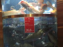 -蜀滋香鲜鱼美蛙火锅(339店)