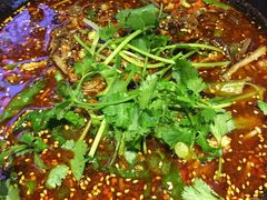 -宽窄巷子冒菜(中华广场店)