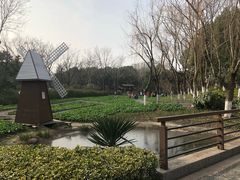 -圩墩遗址公园