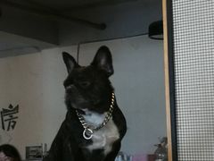 -萌喵咖啡屋(人民东路4号口M16商铺店)