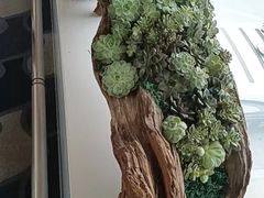 -厦门高崎国际机场-T3航站楼