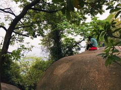-火炉山森林公园