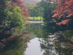 -回龙观体育文化公园