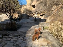 -碓臼峪自然风景区