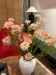 -花隐瑜伽·普拉提·红绳