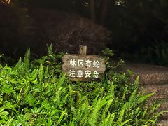 -福道