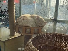 -小时光咖啡馆(北锣鼓巷店)