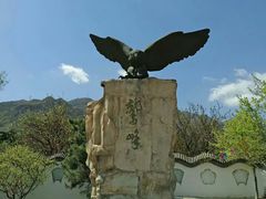 -北京鹫峰国家森林公园