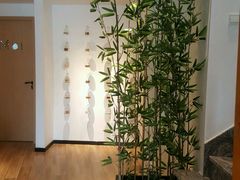 -麦子MaiMassage(打浦桥店)