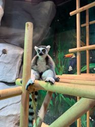 -Zoolung Zoolung动物主题公园(海信广场店)